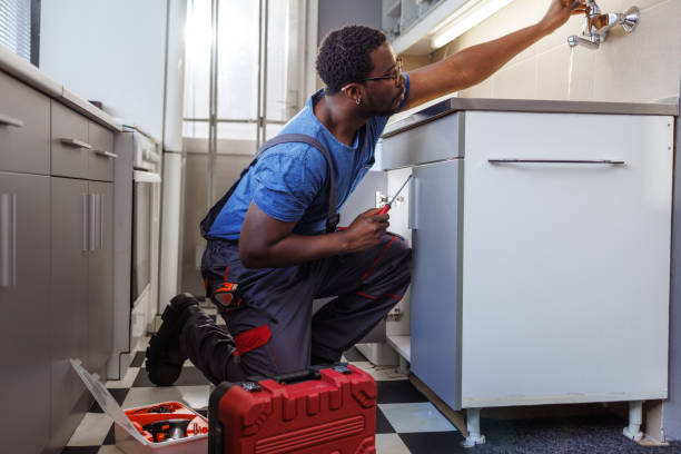 Best Plumbing Installation Services  in Bemidji, MN
