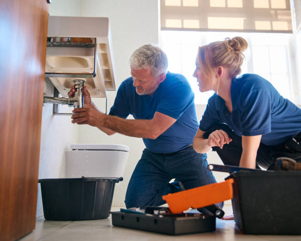 Best Septic Systems  in Bemidji, MN